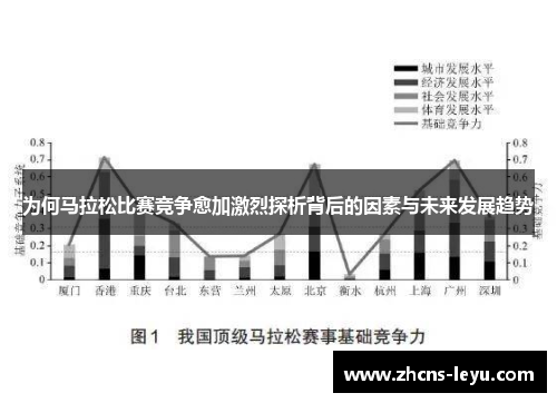 为何马拉松比赛竞争愈加激烈探析背后的因素与未来发展趋势