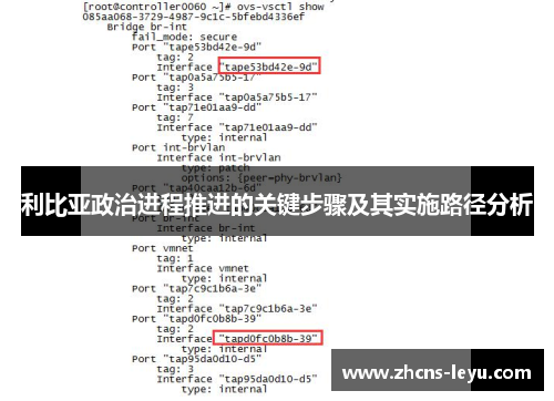 利比亚政治进程推进的关键步骤及其实施路径分析